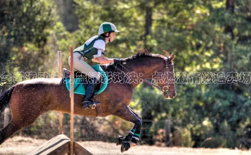 28圈注册登录福石控股全国运动会男篮精彩对决：点燃激情燃遍赛场