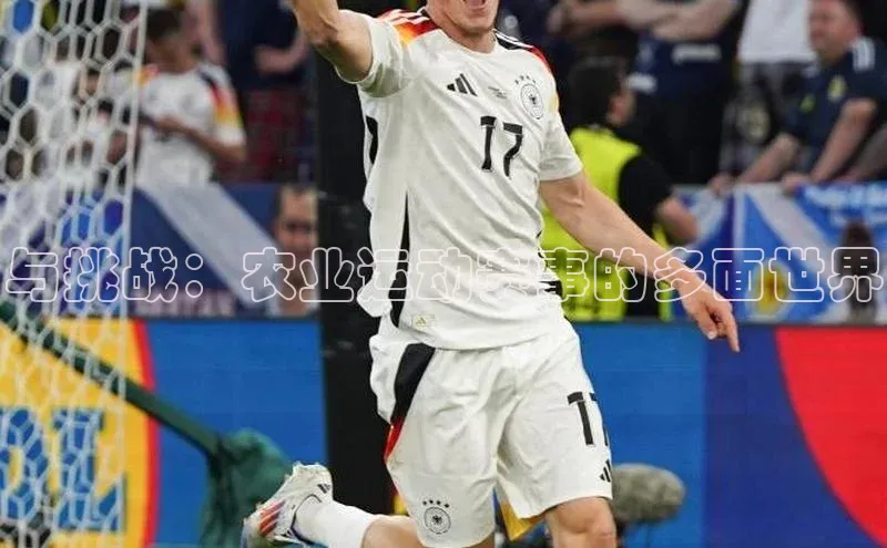 28圈平台链接百度健康与挑战：农业运动赛事的多面世界