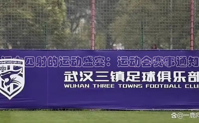活力四射的运动盛宴：运动会赛事通知