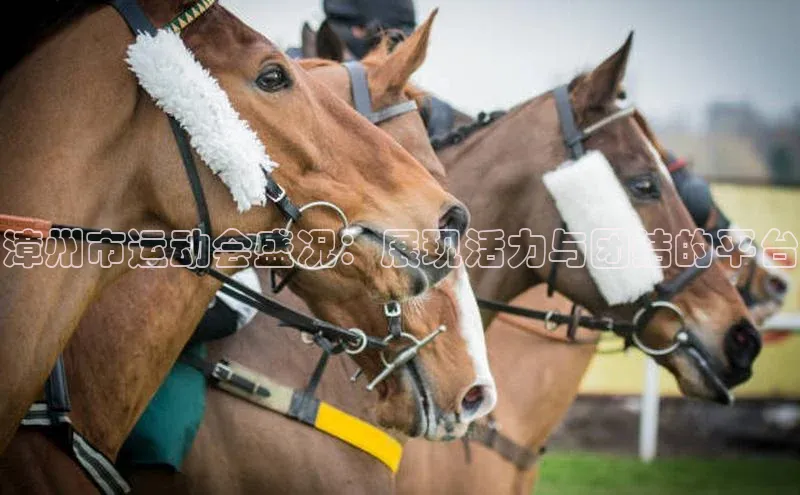 漳州市运动会盛况：展现活力与团结的平台