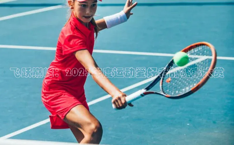 飞跃巅峰：2023年度运动爱好者的赛事大赏