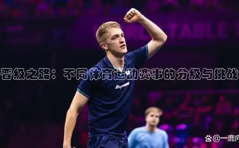 晋级之路：不同体育运动赛事的分级与挑战