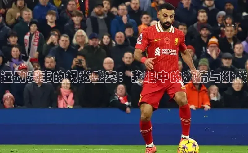 运动赛事的视觉盛宴：我眼中的激情与挑战