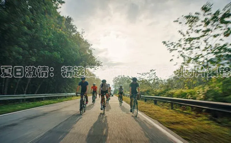 夏日激情：精选夏季运动赛事瞬间图片集锦