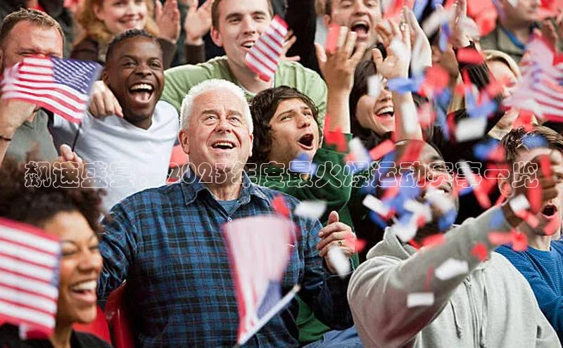 飙速盛宴：2023年度最火爆运动赛事一览