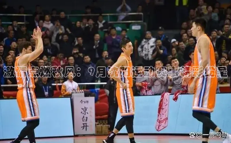 激情点燃秋风：9月沈阳运动赛事精彩纷呈